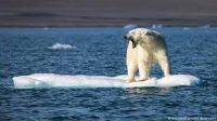 CO2-Gesetz und 30er Zonen abgelehnt